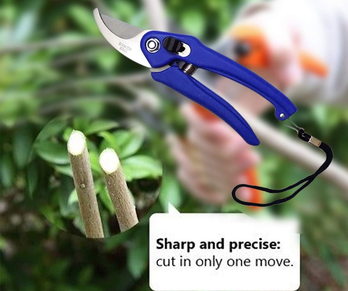 stainless-steel-garden-scissor