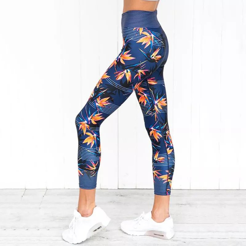 elasticitysports-fitness-pants-bottom-yoga